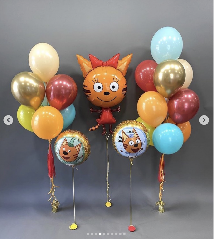 Шары с котами на День Рождения