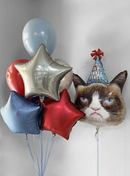 Композиция «Grumpy Cat»